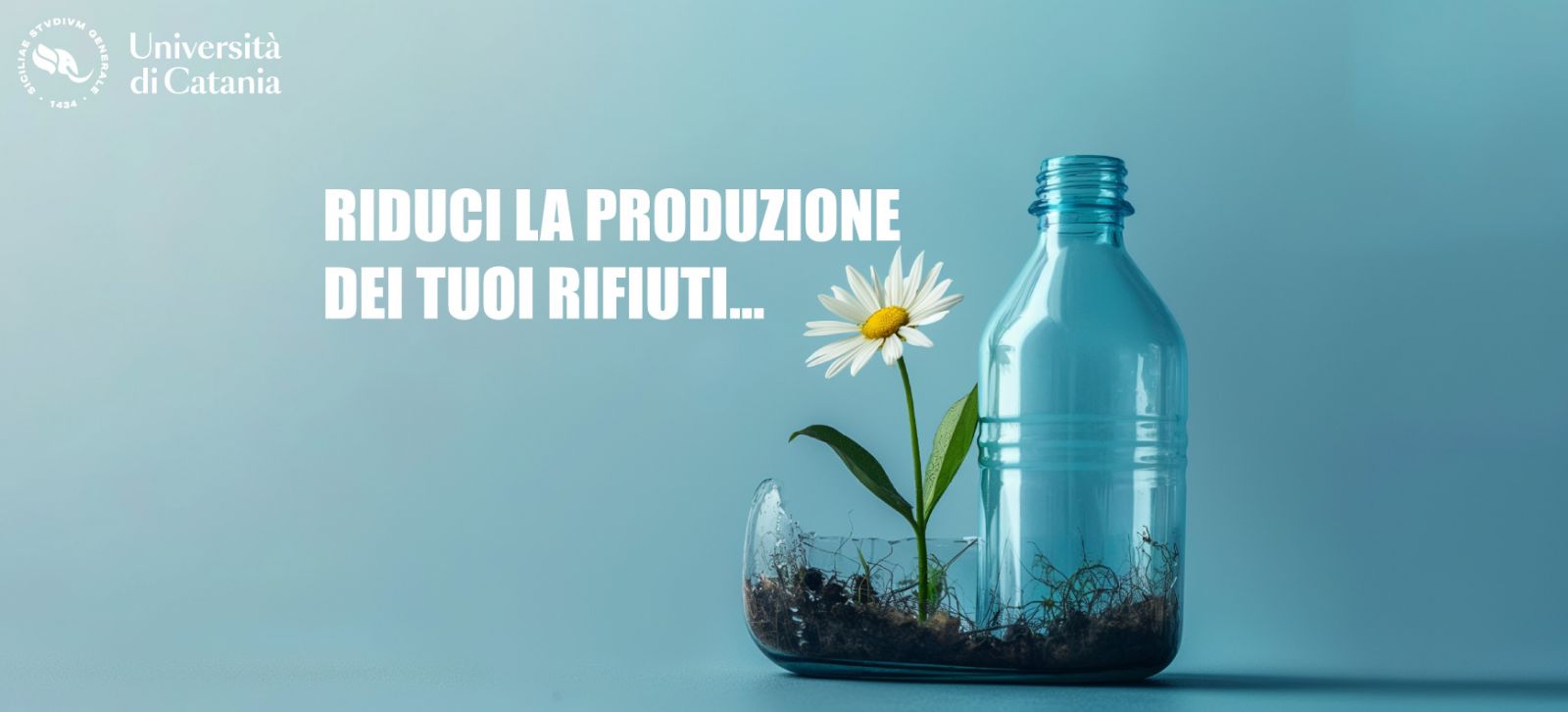 una bottiglia di plastica riutilizzata come un vaso contenente una margherita bianca