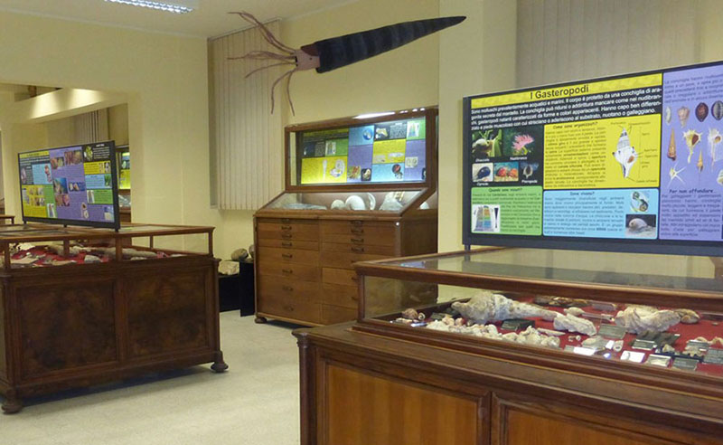 Museo di Paleontologia